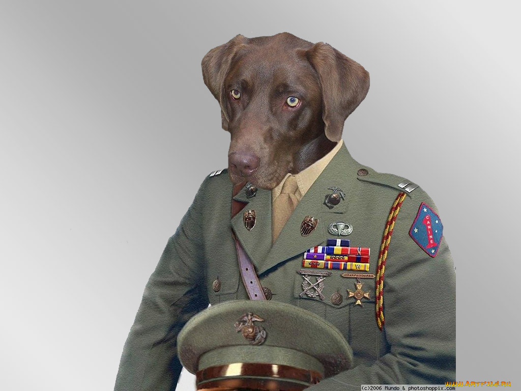 , , 10, , 